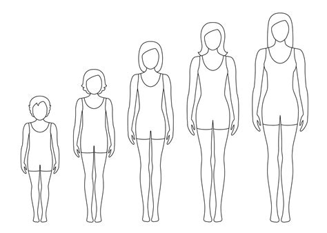 Les Proportions Du Corps Des Femmes Changent Avec L Ge Stades De Croissance Du Corps De La