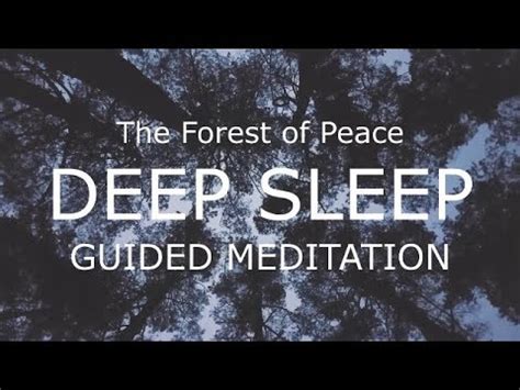 Get mindful with a free meditation. Guided sleep meditation: The Forest of Peace and ...