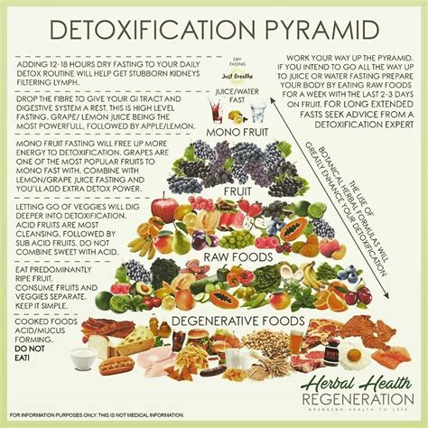 Detoxification Pyramid Detox Fruit Diet Detoxification Raw Food Recipes