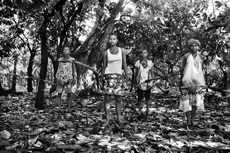 Photos Inside Madagascar S Cocoa War Time My Xxx Hot Girl