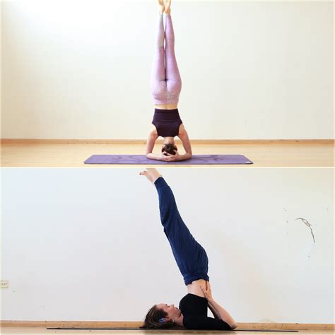 12 Basic Hatha Yoga Poses Yoga Poses