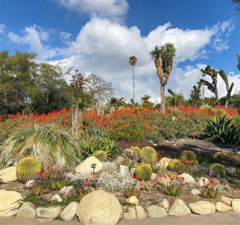 'delightfully sculptural elegance' in flora animalia's gravel garden in los angeles. The Best Botanical Gardens & Parks for Appreciating Spring ...