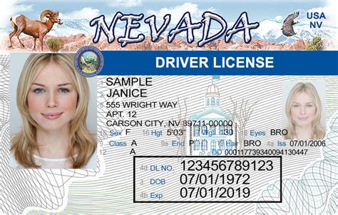 Nevada Drivers License Application And Renewal 2022