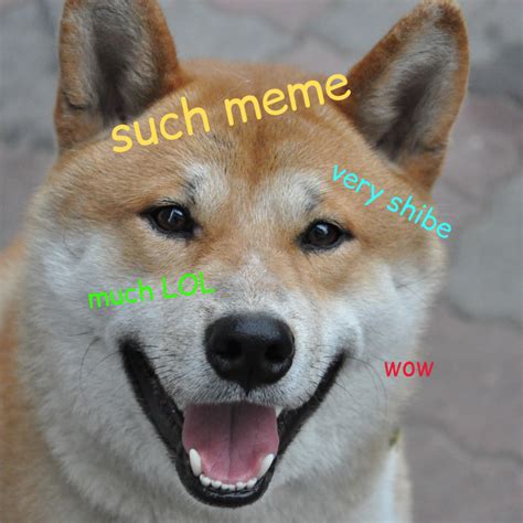 Very Doge Such Meme Wow Memes Doge Lol