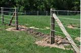 Install Electric Wire Fence Images
