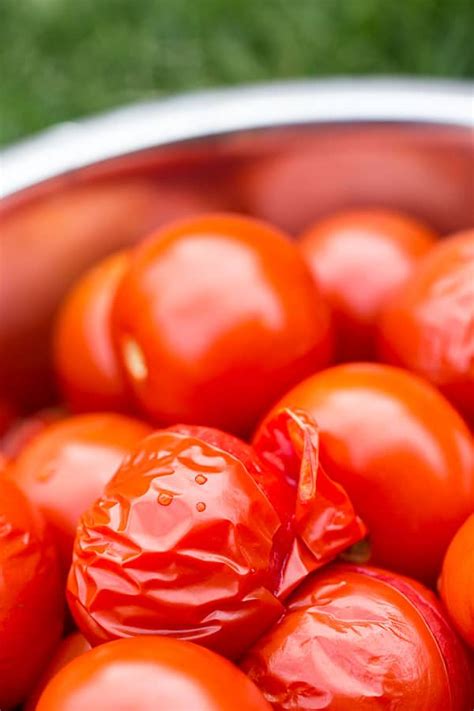 Let it simmer and stir it constantly until it is reduced by half. Fresh Tomato Pasta Sauce From Scratch | Wandercooks