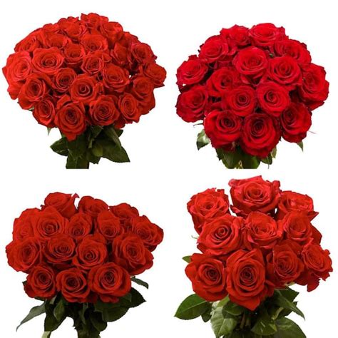 Globalrose Fresh Red Roses For Mothers Day 100 Stems Freedom Medium