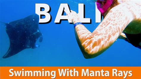 Swimming With Manta Rays In Bali Youtube