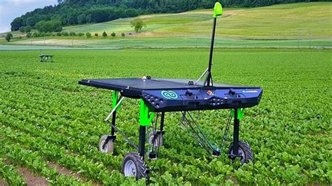 Ecorobotix A Solar Powered Autonomus Weeding Robot Viral Zone 24