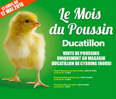 Ducatillon Mois Du Poussin