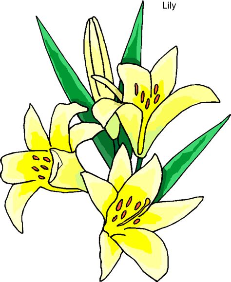Easter Lily Clipart Free Easter Lily Images