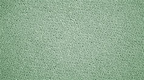 Top 999 Sage Green Wallpaper Full Hd 4k Free To Use