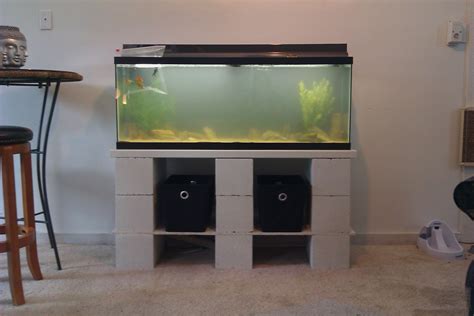 55 Gallon Tank Tropical Fish Keeping Aquarium Fish Care And Resources