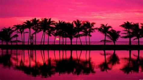 Pink Beach Sunset Wallpapers Top Free Pink Beach Sunset Backgrounds