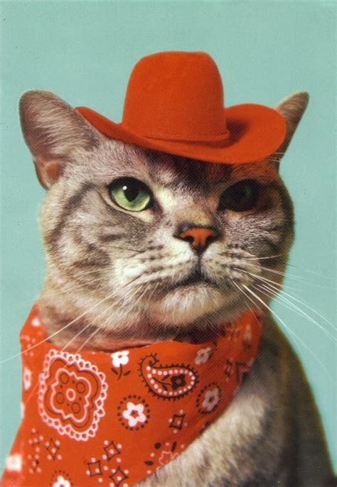 37 Best Images About Catscowboycowgirl On Pinterest