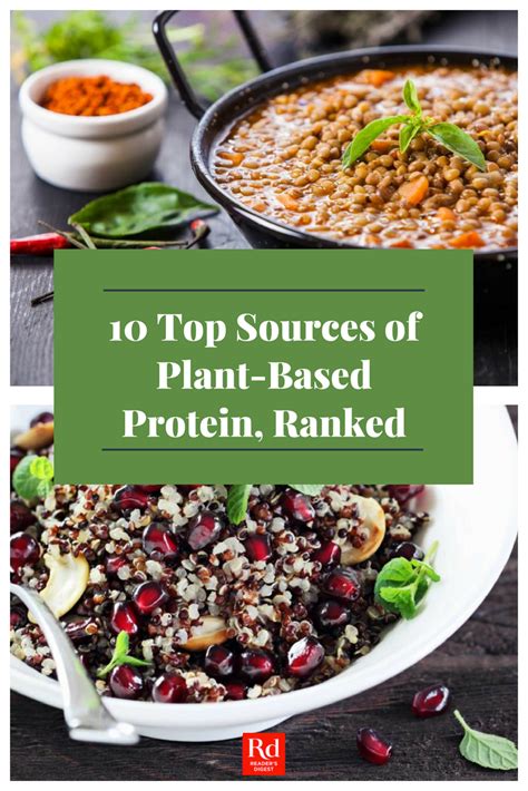 The product launch was at hyderabad. The Best 15 Sources of Plant-Based Protein | Healthy food ...