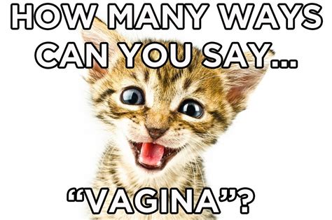 How Many Words That Mean Vagina Do You Know