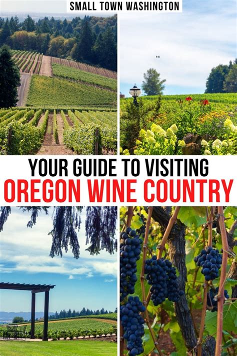 Your Guide To Visiting Oregon Wine Country Small Town Washington In