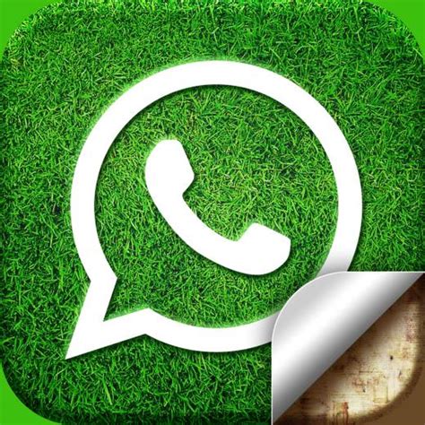 Free Download 15 Simplestylish Whatsapp Wallpapers And Set As Your