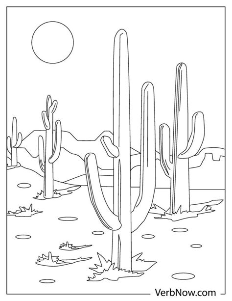 Free Desert Landscape Coloring Pages And Book For Download Printable Pdf