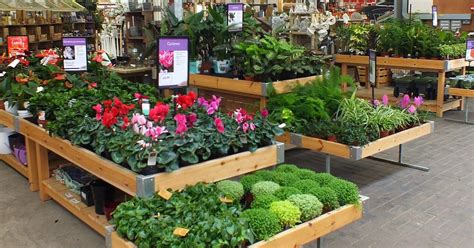 We're a small (if having 6 young children is small), family owned succulent nursery in southern ca; Garden Centres And Nurseries Near Me | Nursery near me ...