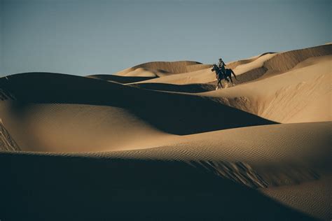 Arabian Horse In Liwa Desert Smithsonian Photo Contest Smithsonian