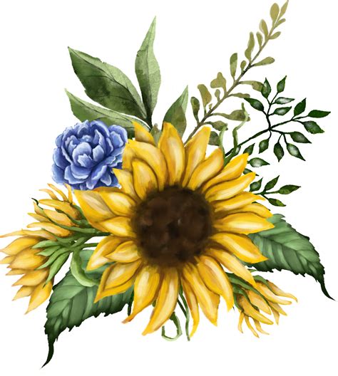 Sunflower Clipart Bouquet Sunflower Png Watercolor Clipart Etsy