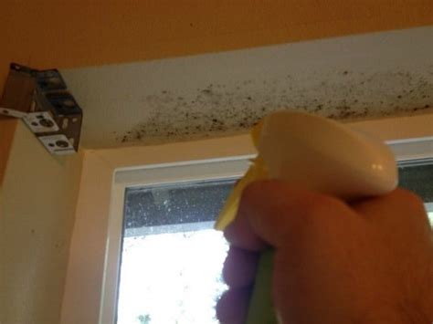 My sister's bathroom grows mold little black spots on the ceiling. Mold Removal Bathroom Ceiling | Easiest Tips and DIY Guides