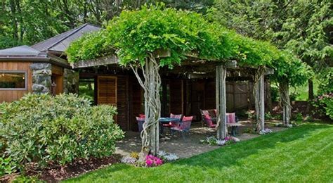 Maybe you would like to learn more about one of these? 10 Kletterpflanzen für Pergola: traumhafte Sitzplätze im ...