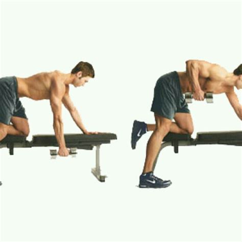 Bent Over Dumbell Row Right By Jacco Obermeier Exercise How To Skimble