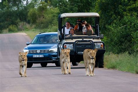 self drive safari in kruger national park zen travellers