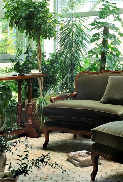 Victorian Indoor Plants Caring For Old Fashioned Parlor Plants