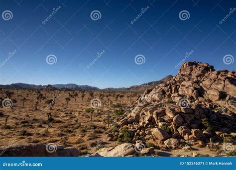 Rock Formation In The Mojave Desert Stock Image Image Of Springtime