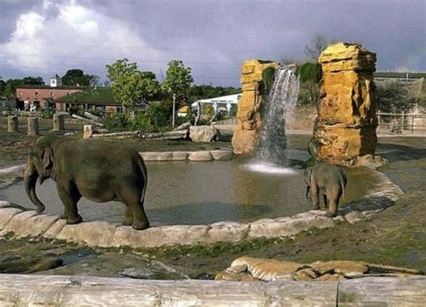 Chester Zoo Cheshire Uk With Map And Photos