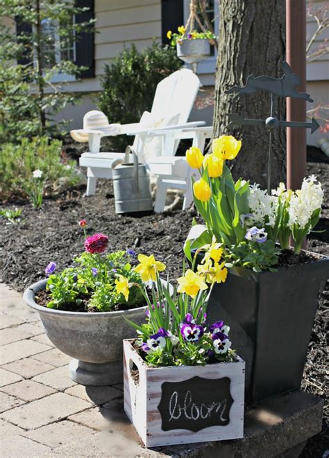 Spring Containers For The Garden Golden Boys And Me