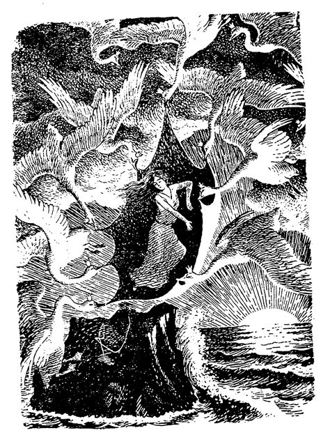 The Wild Swans -- Fairytale Illustration | Fairytale illustration, Fairytale art, Andersen's ...