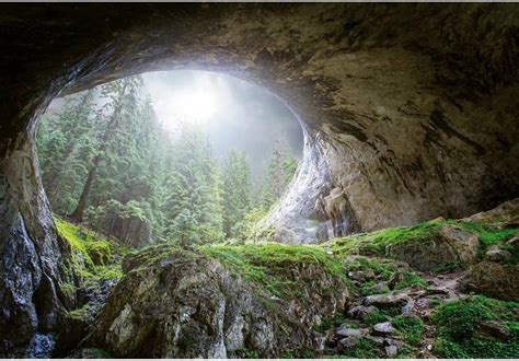 Fotobehang Cave In The Forest 4 Delig 368 X 254 Cm Multi