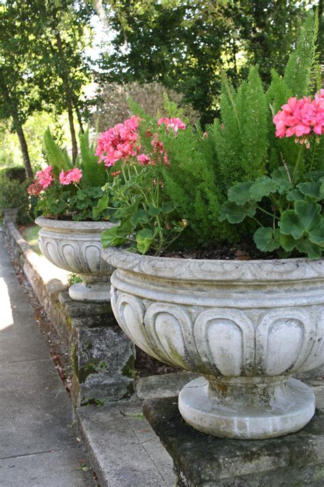Pink Green Garden Containers Container Gardening