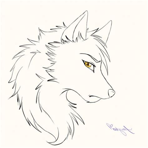 Wolf Howling Drawing Anime
