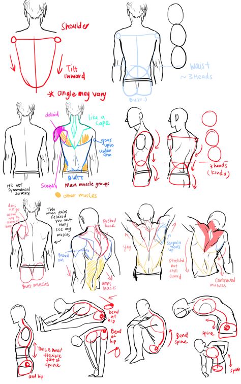 15 How To Learn Anatomy For Anime Art Meme Image