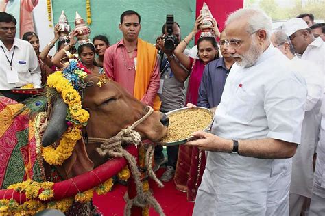 (i) indian classical dances and. India's Sacred Cow Now Threatens an $83 Billion Dairy ...