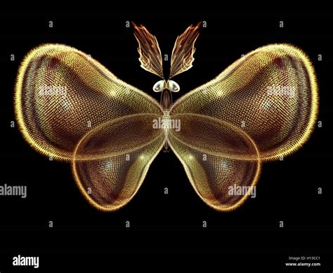 Illusion Of Butterfly Stock Photo Alamy