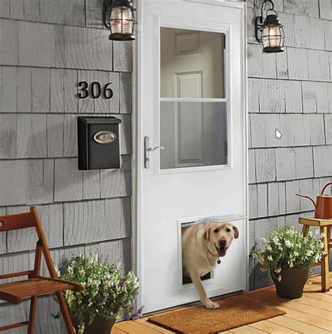 You won't need to worry about those this will dictate what custom glass pet doors are best for your particular situation. Putting a dog door in a storm door? - DoItYourself.com ...
