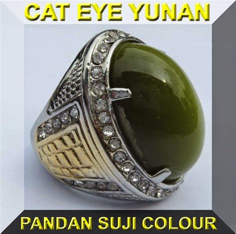 Nah kali ini, kami akan sharing tentang warna cat tentunya, pemilihan warna cat pada rumah minimalis haruslah cocok, agar hasilnya akan cantik. 87+ Ide Warna Cat Ijo Bolu Pandan, Warna Cat