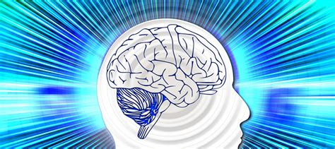 Neurofeedback Retrain Your Brain Bonnie Landau