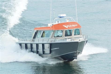 Tripadvisor Nanaimo Whale Watching In A Semi Covered Boat Provided By