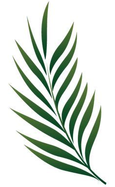 Palm leaf vector clipart and illustrations (76,717). Palm Branch Image Free Cliparts That You Can Download To ...