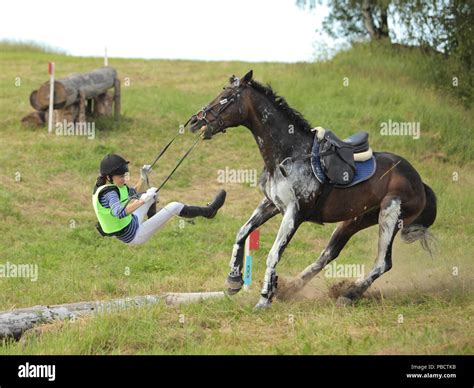 Rider Falling Of A Horse Hi Res Stock Photography And Images Alamy
