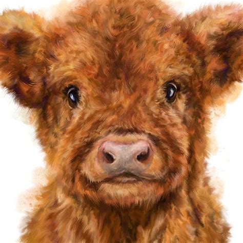 Highland Cow Watercolour Art Print Highland Cattle Baby Cow Etsy Uk