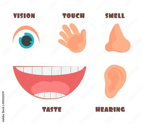Human Senses Cartoon Vector Icons With Eye Nose Ear Hand And Mouth Symbols Stock Vector